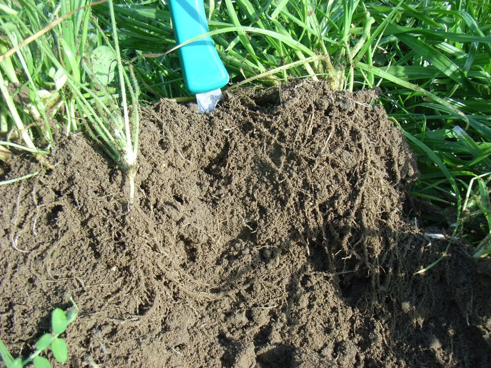 TerraLife® - Landsberger Gemenge Eco-1