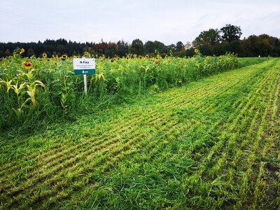 TerraLife® - N-Fixx 50-5