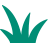 altText.iconFuer Voedergras 