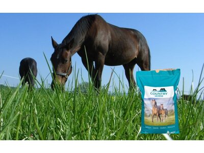 COUNTRY Horse Low Fructane Mix-0