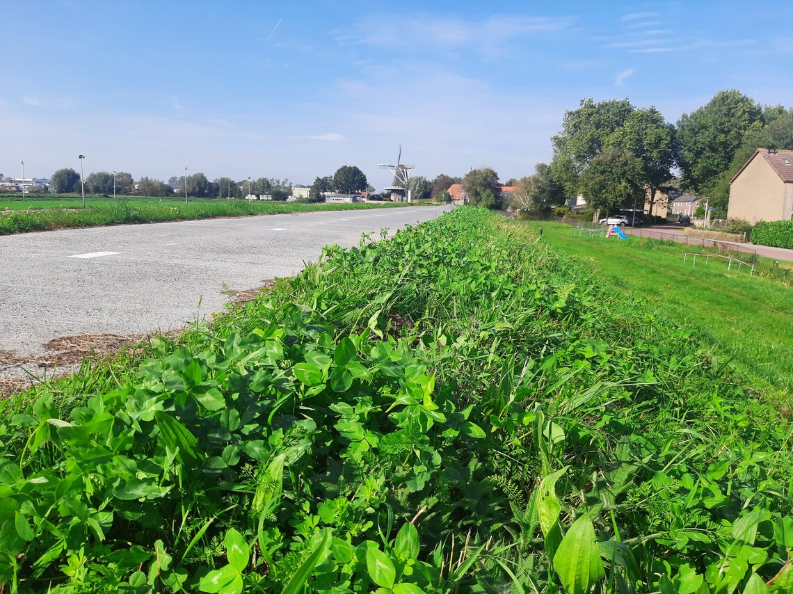 Eurograss Dijken Basis Gras DBG-0