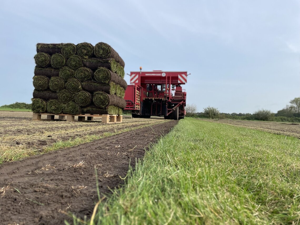 EUROGRASS Graszoden-mengsel-2