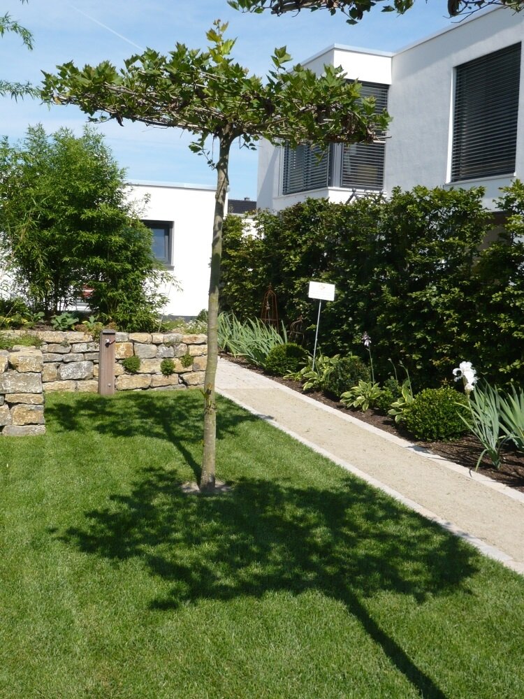 Eurograss Silhouette-5